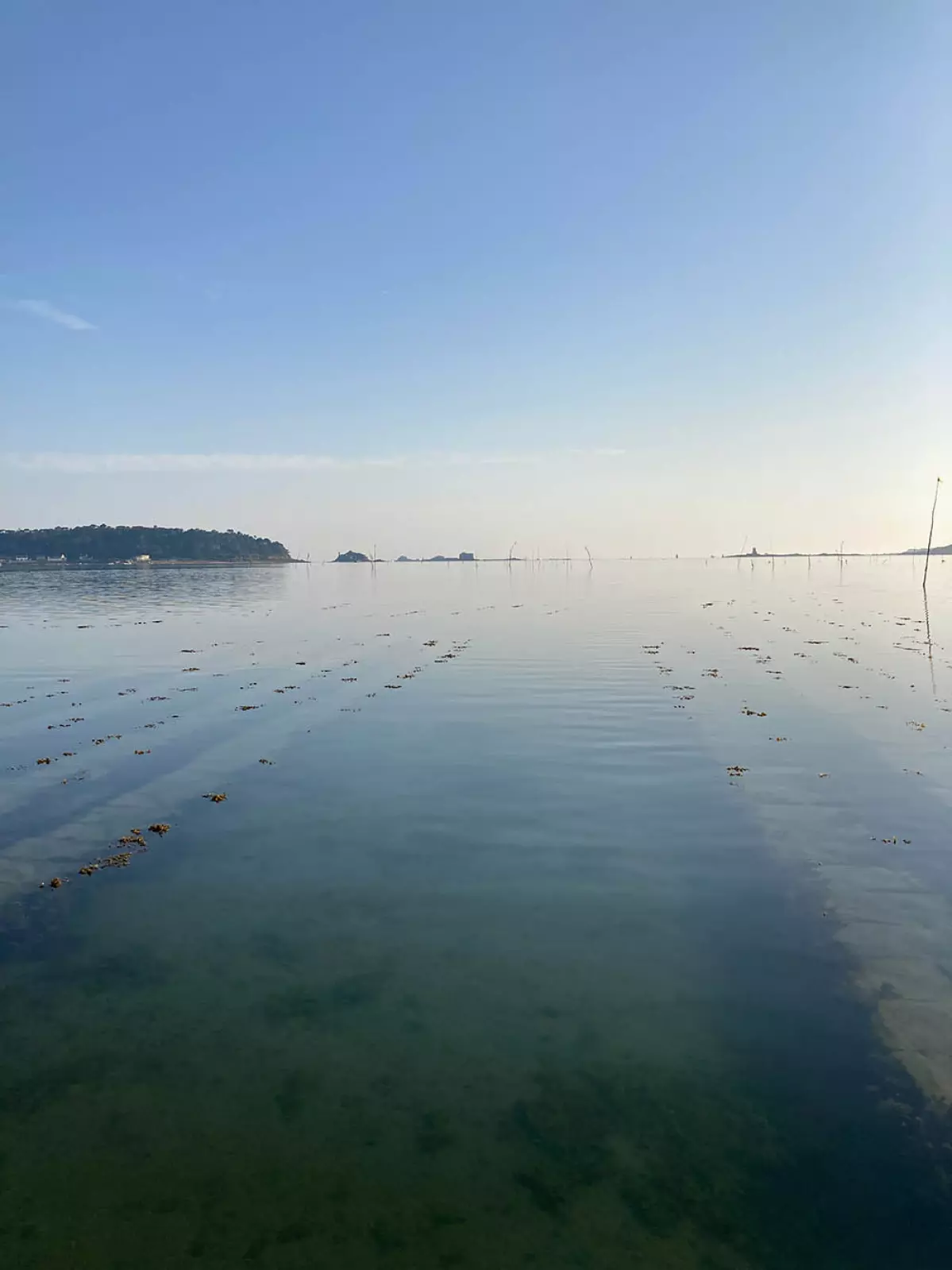 Notre engagement associatif au sein de « l’Huître de la Baie de Morlaix »